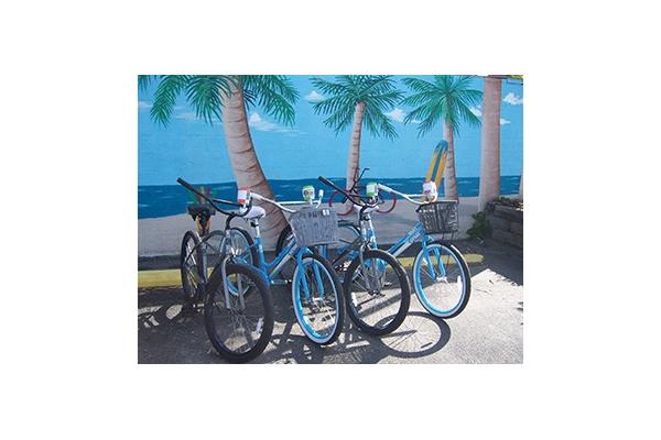 Island Bicycle Company