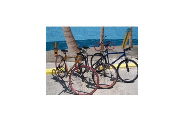 Island Bicycle Company