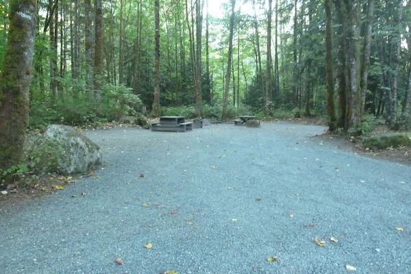 FH Forestry