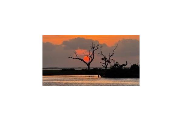 Sunrise on the bayou on the back deck of our houseboat