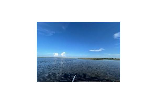 View from the Swamp Shack