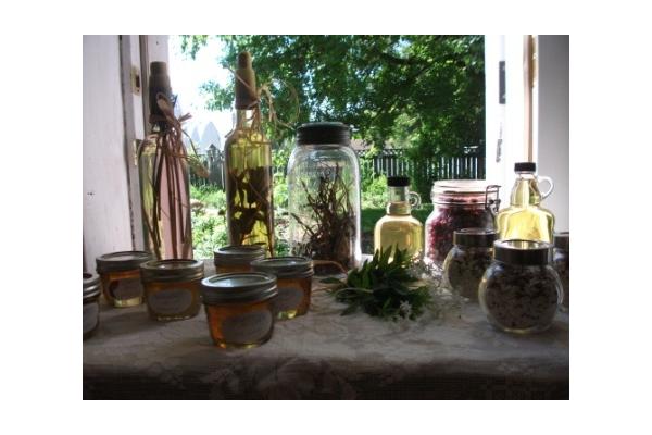 Artist in the Garden Workshops