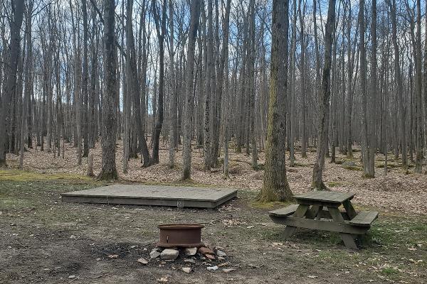 Rustic tent site, picnic table and fire ring.
