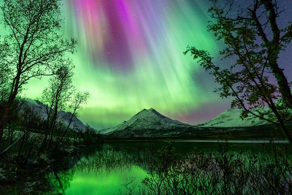 Arctic Experience