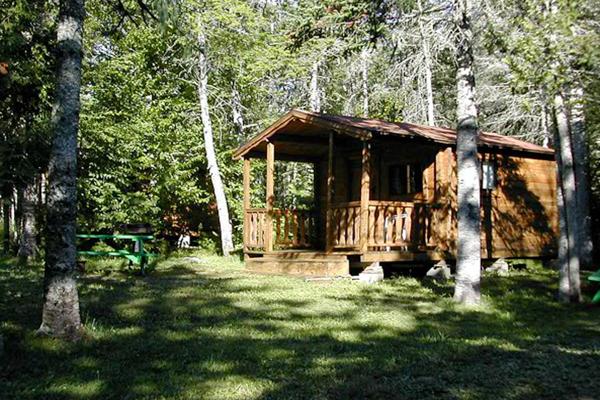#26 Pet Friendly Rustic Cabin
