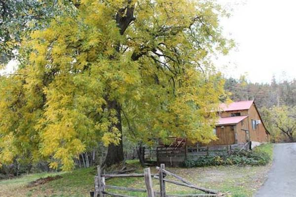 The Barn House at Stonewall Ranch is a true mountain-meadow hideaway in Shasta County, California, near Redding.