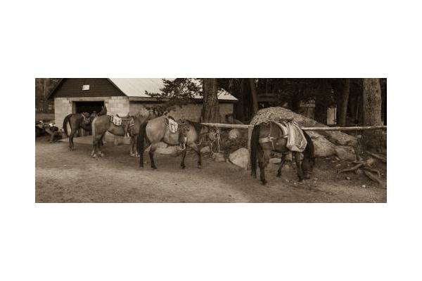 Big Sandy Lodge, LLC