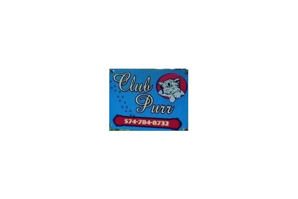 Cat Boarding at Club Purr