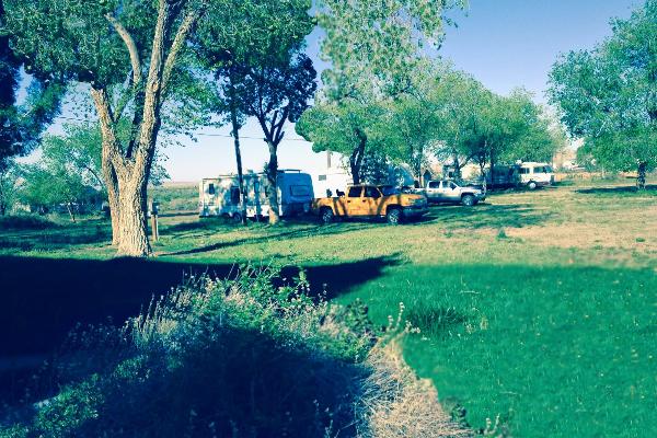 grassy areas, shade trees