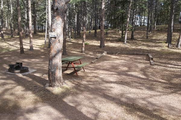 Nine tent sites in their own area. Easy access to restrooms and showers. Electric at most sites.