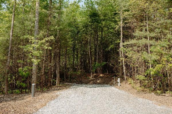 Site #301- 50'L back-in, 50/30 amp, FHU, table and fire ring w/ cooking grate.