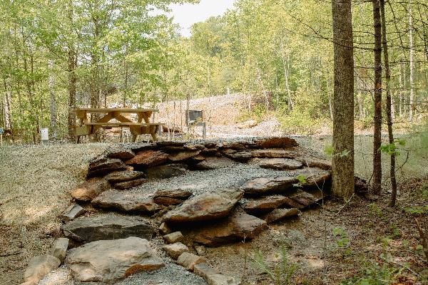 DuPont Yurts and Campground