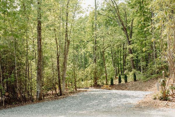 Site #396- 45'L back-in site, FHU, picnic table and fire ring w/ swivel cooking grate.