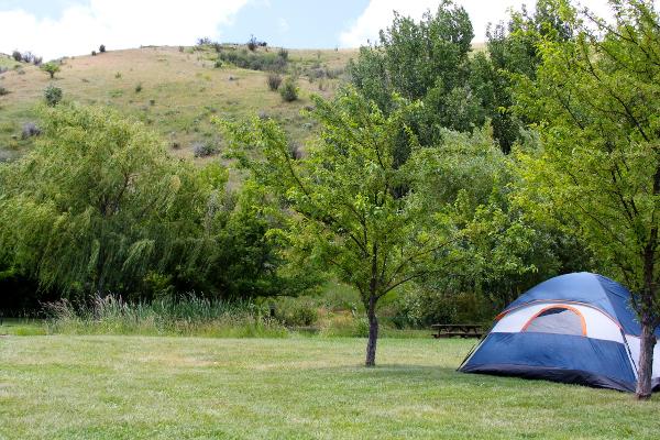 Tent Sites