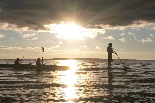 Great Turtle Kayak Tours