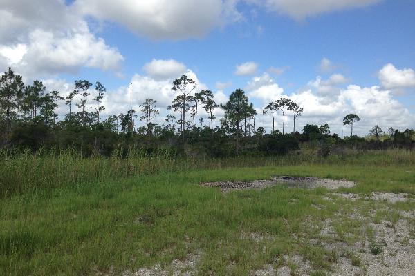 Coreopsis Campsite E – 1 roadside primitive tent only campsite with no amenities approximately 1.7 miles from main entrance/County Road 711, west of the West Jupiter Wetlands Trail trailhead. No shade