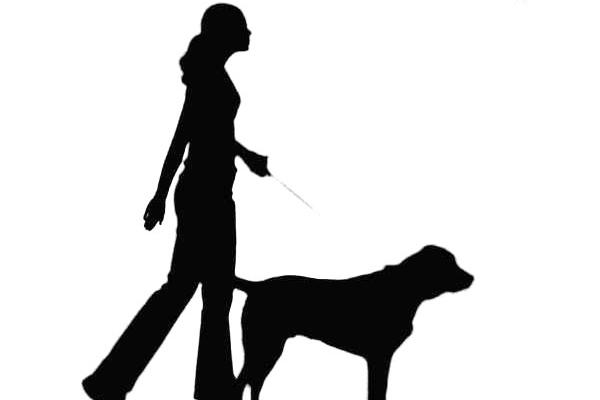 In Home Pet Nannies
