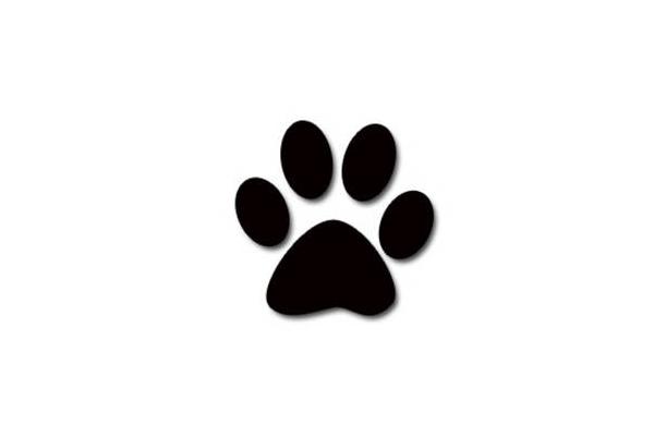 In Home Pet Nannies
