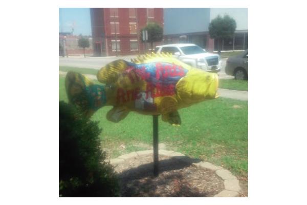 Roanoke Rapids NC