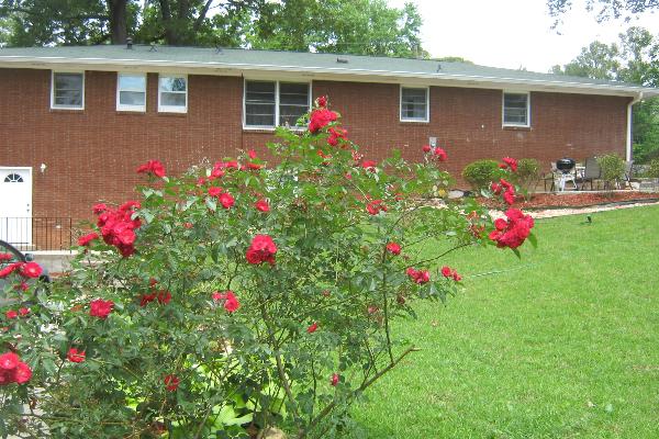 Kadwell Vacation Homes
