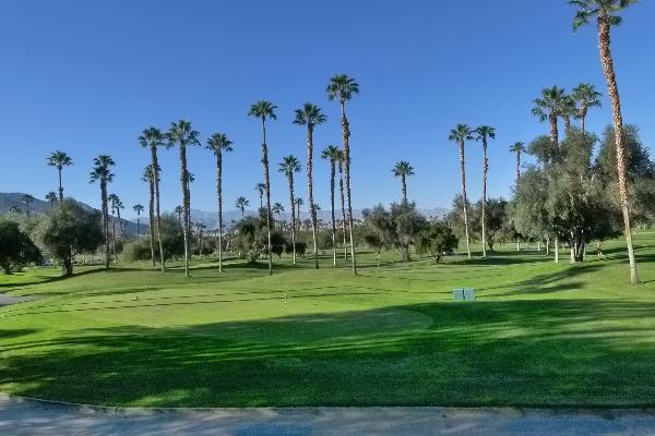 It's just a 3 wood..