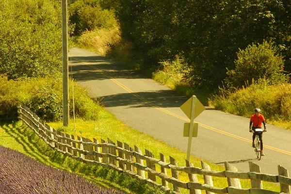 Bicycle to Cattle Point
