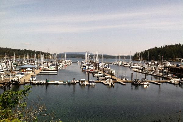Seaplane Cycle