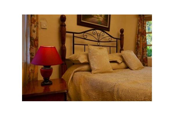 Our suites are well furnished with a separate seating area and have a wonderful sense of being a home away from home