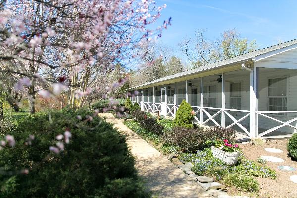 cottages in rear of property behind main house - detached.
