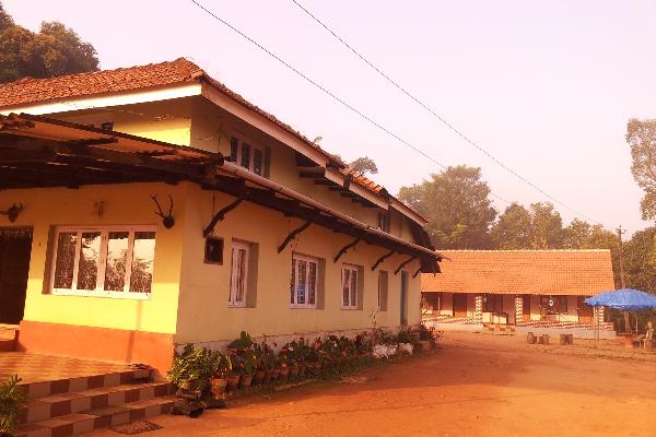 Mekanagadde Homestay View