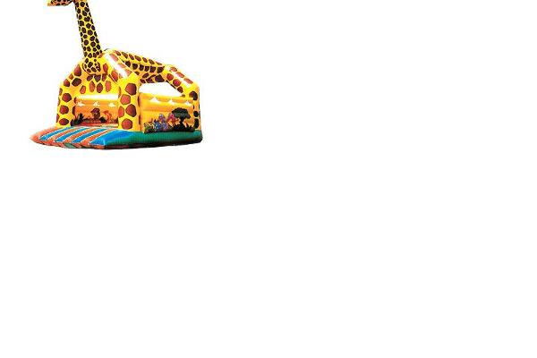 Mr. Giggles Bouncing Castles