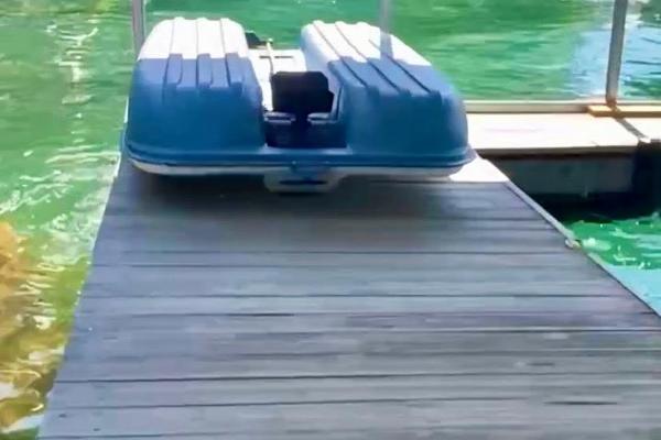 Norris Lake Front Rentals