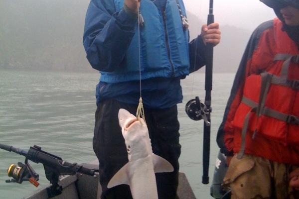fishing from the Talon