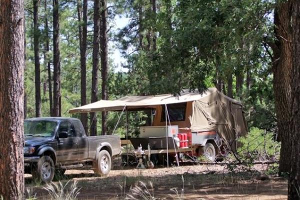 Camping in the pines