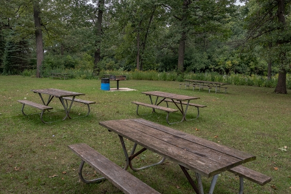 West open picnic area - 50 people maximum