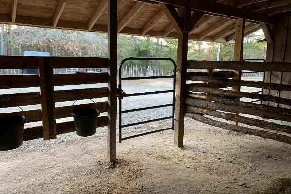 Horse stalls pictures