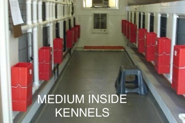 Roeslers Kennels