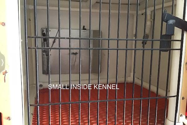 Roeslers Kennels