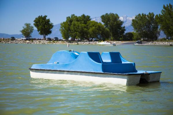 Pedal Boat Seats 4  (Weight Limit 545 LBS)