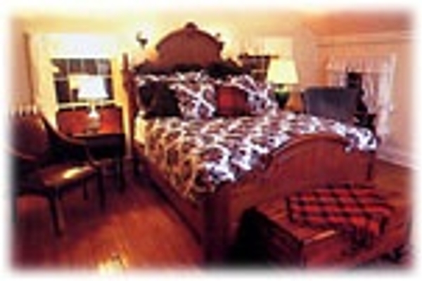 The Library Suite