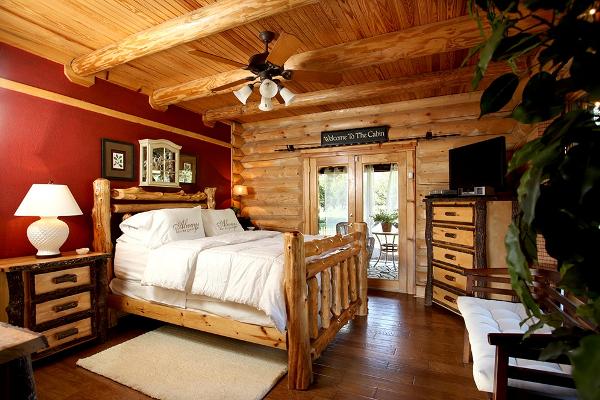 Downstairs Bedroom