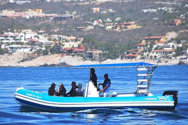 Zodiac Whale Watch Adventure
